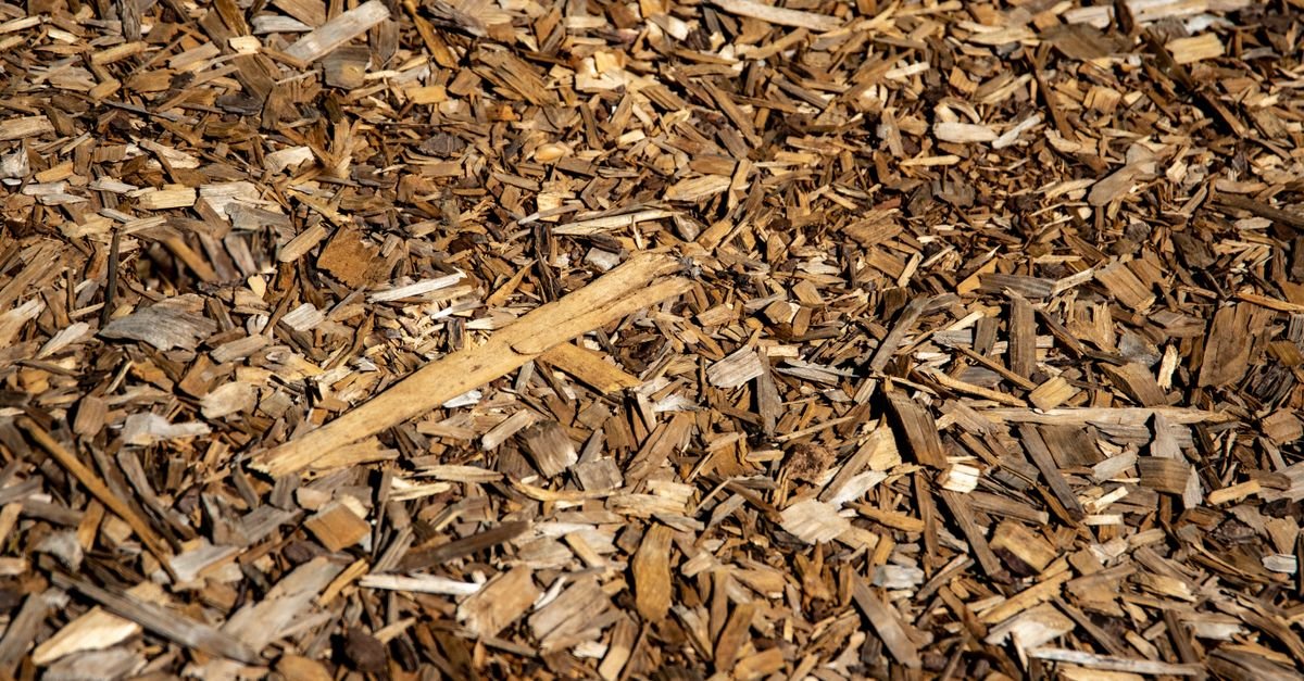 Close-up of brown wood chips and small bark pieces covering the ground.