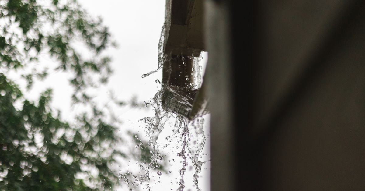 Water splashes from a building’s downspout against a blurred backdrop of trees.
