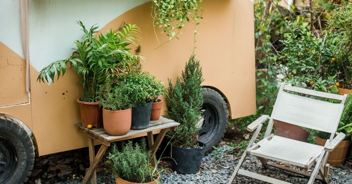 Potted plants sit on a wooden stand beside a white folding chair and a tan trailer in a gravel-covered garden area.